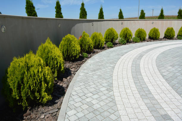 Best Commercial Driveway Paving in Whitestown, IN